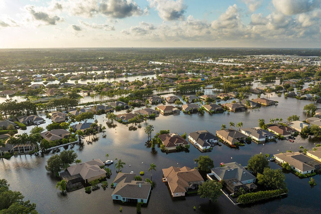 Gluten-Free Survival Guide: Essential Foods for Emergency Preparedness - Augason Farms
