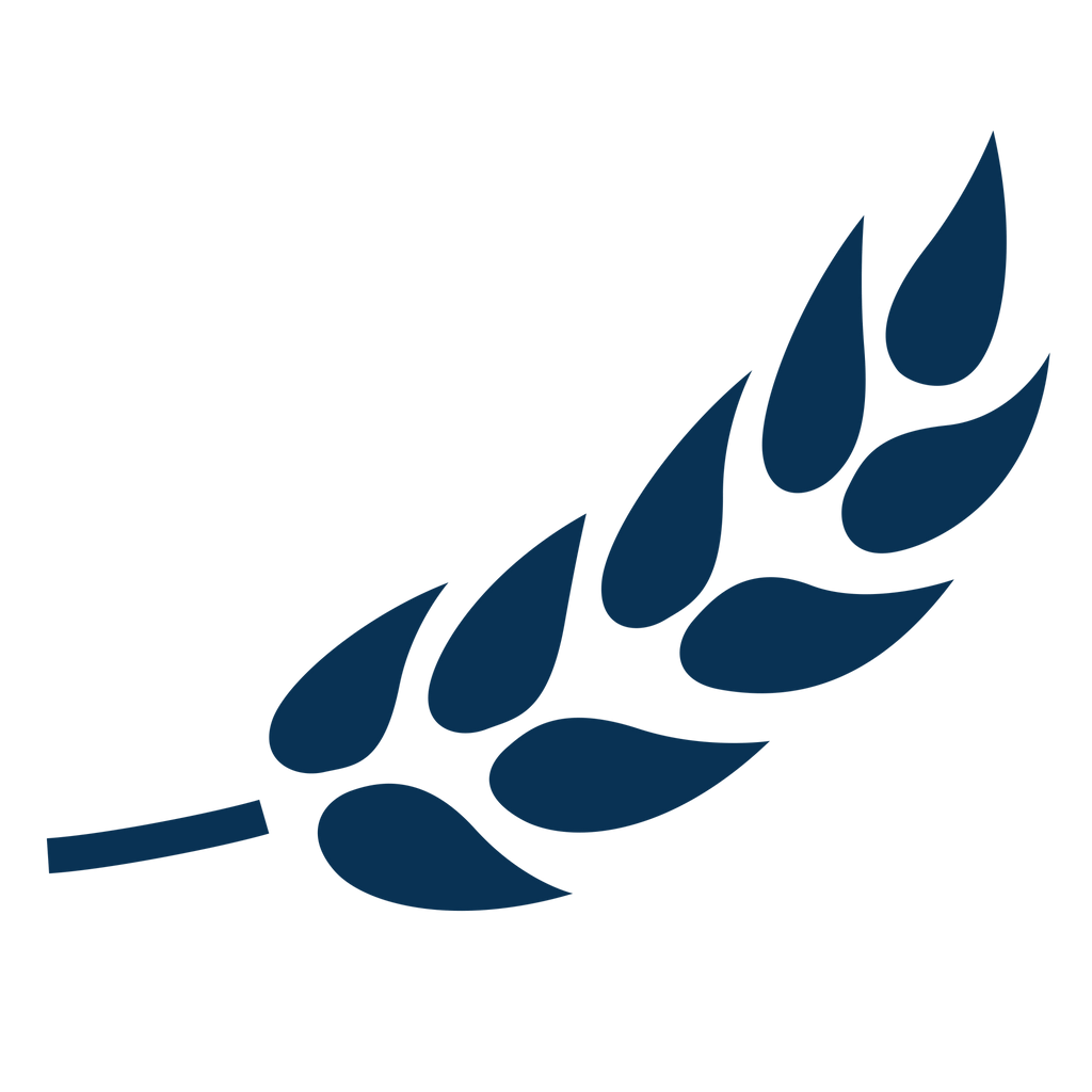 Beans & Grains - Augason Farms