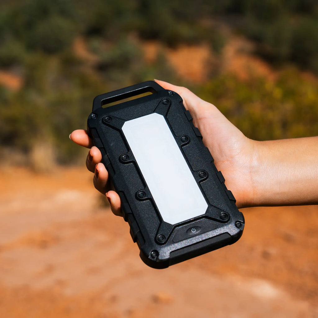 A hand holds a Lion Energy Staging Lion Cub portable charger in black and white outdoors, with a blurred natural background.