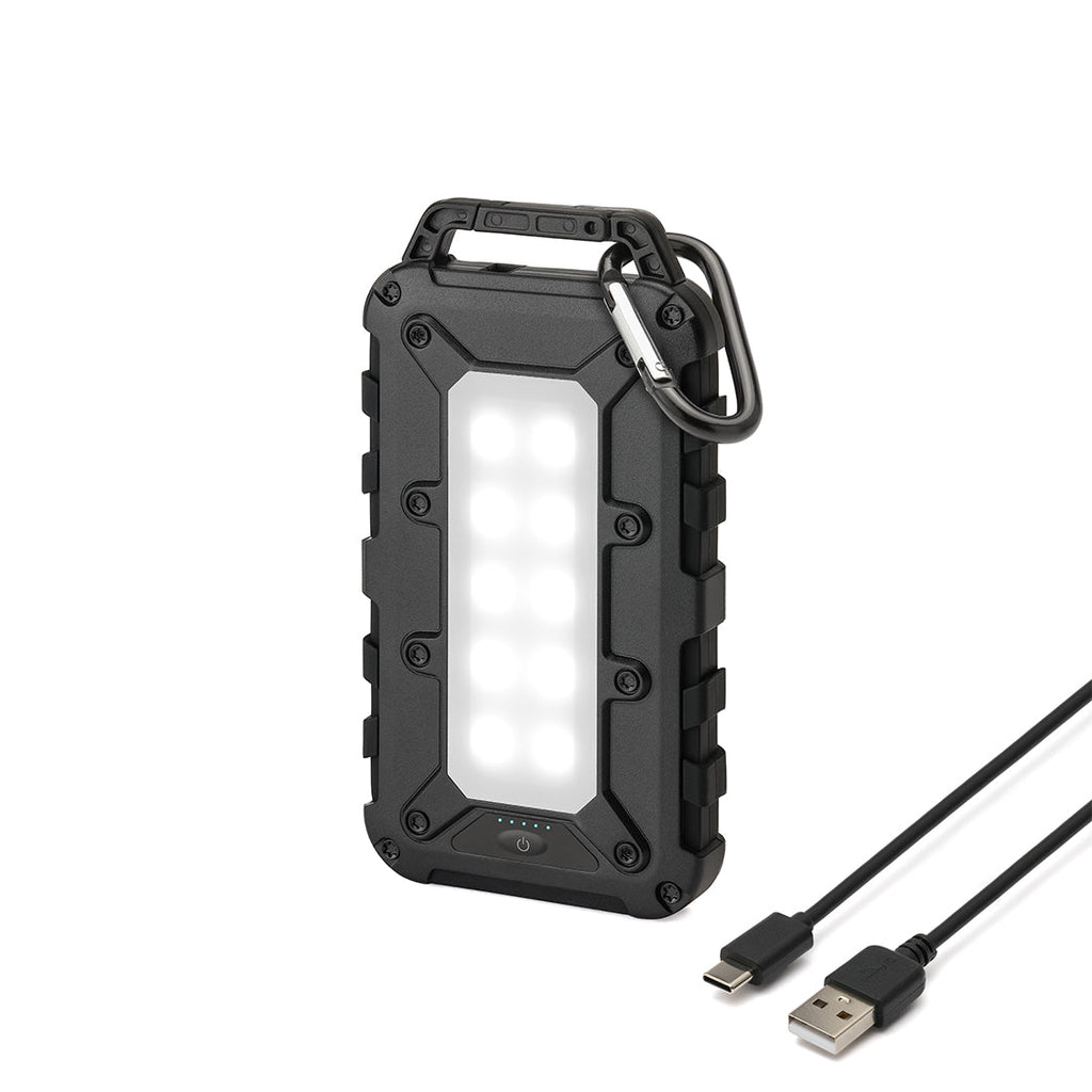 Lion Cub - Augason Farms