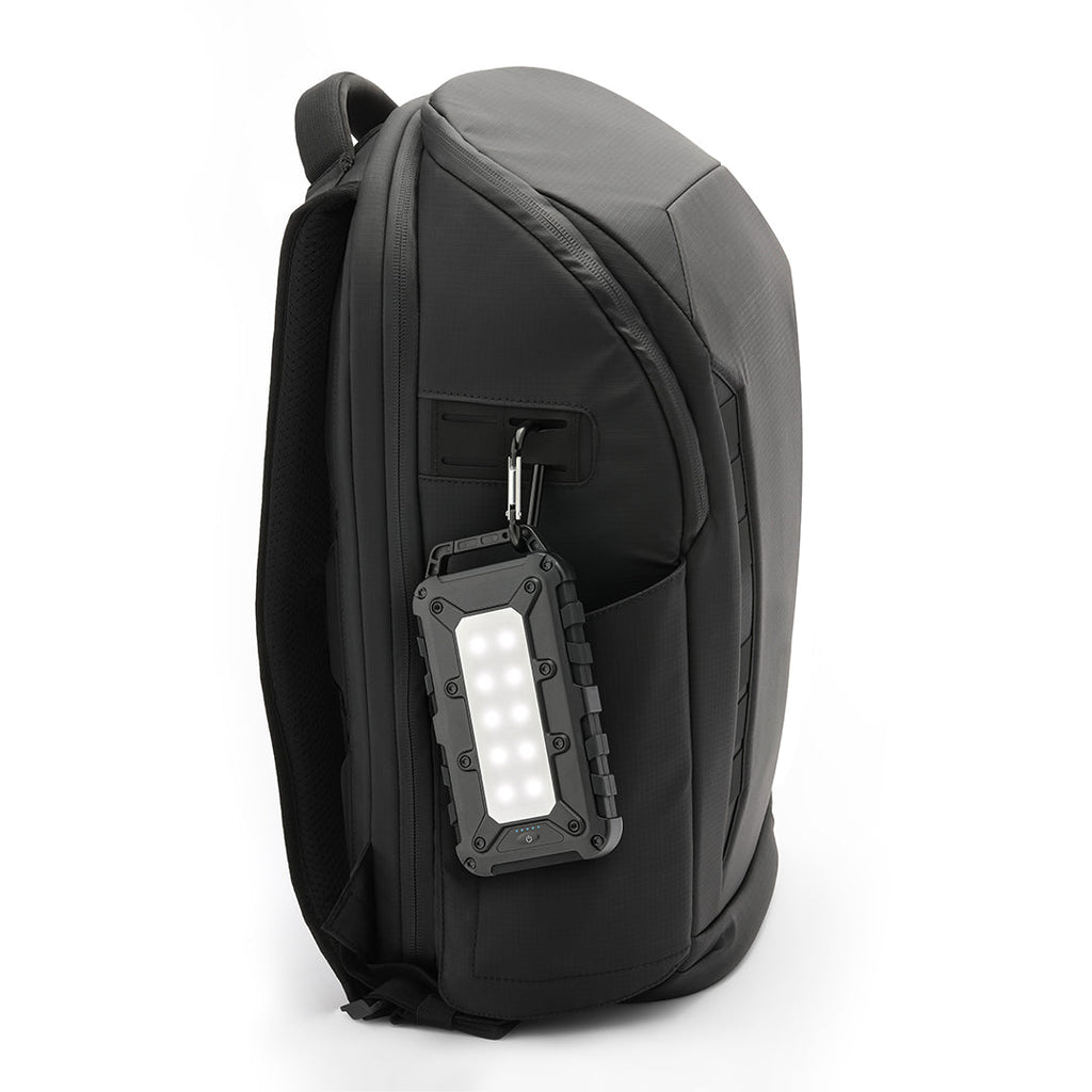 Lion Cub - Augason Farms