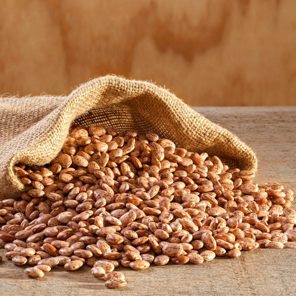 Pinto Beans Pail - Augason Farms